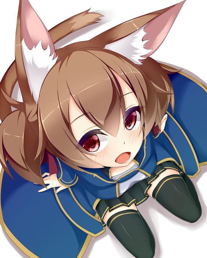 Neko Silica
