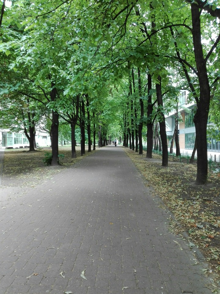 Way to somewhere