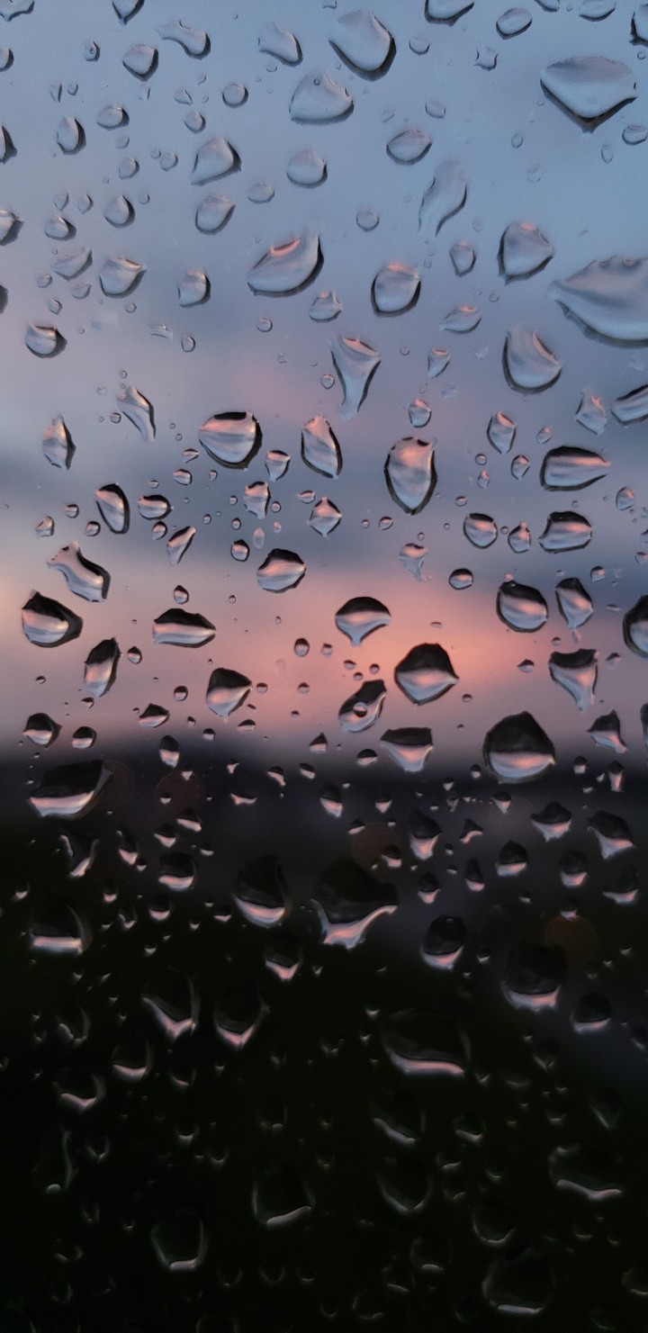 Gotas