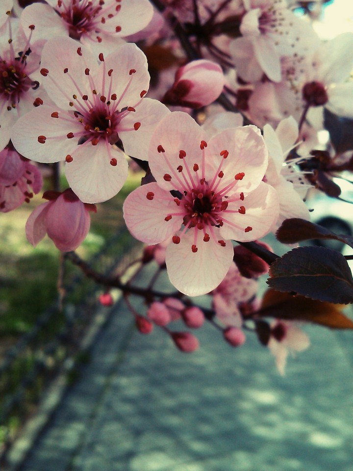 Summer