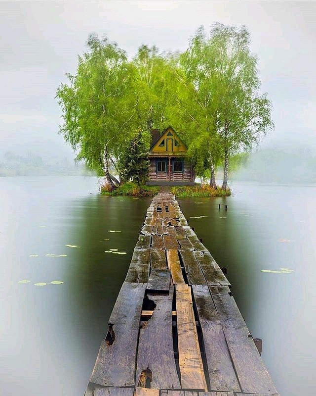sweet home
