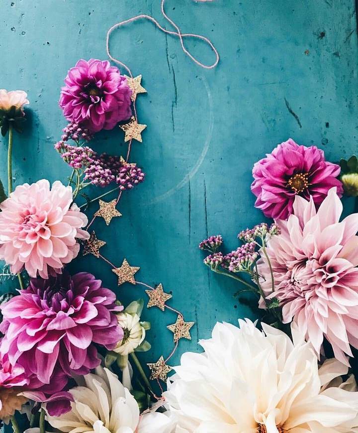flowers❤