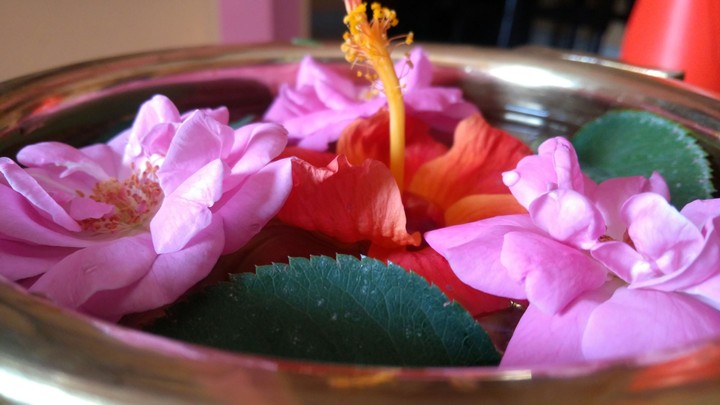 flower