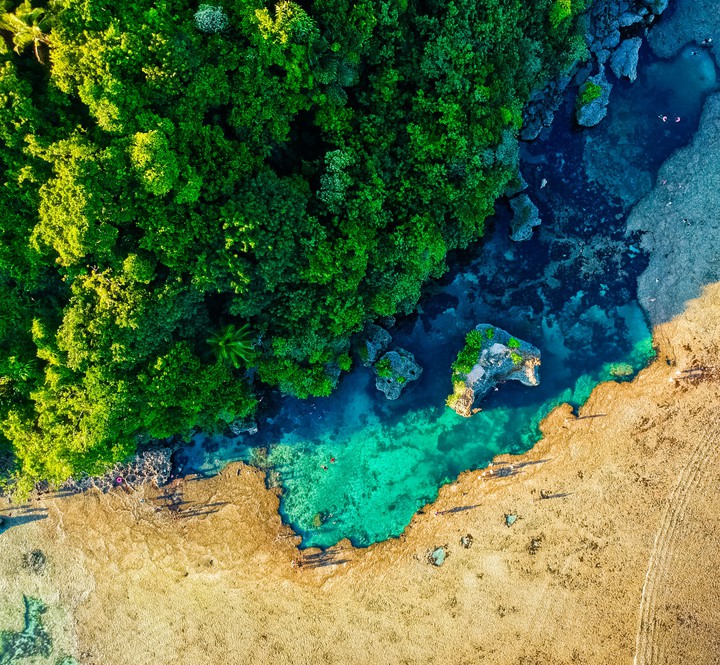 Nature