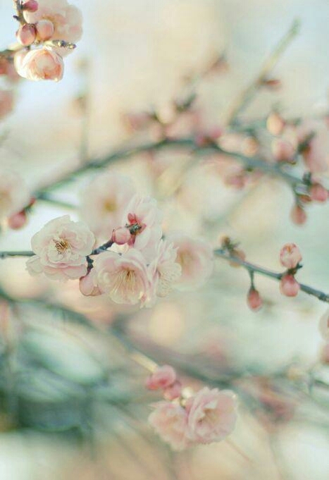 Beautiful