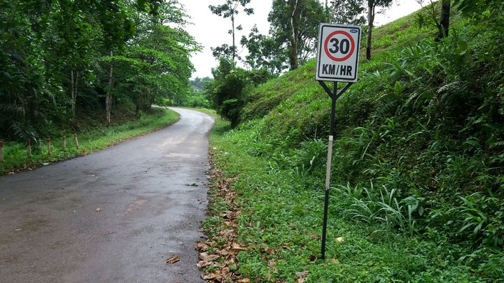 Down the road