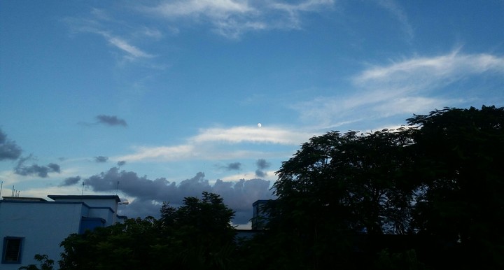 The blue sky