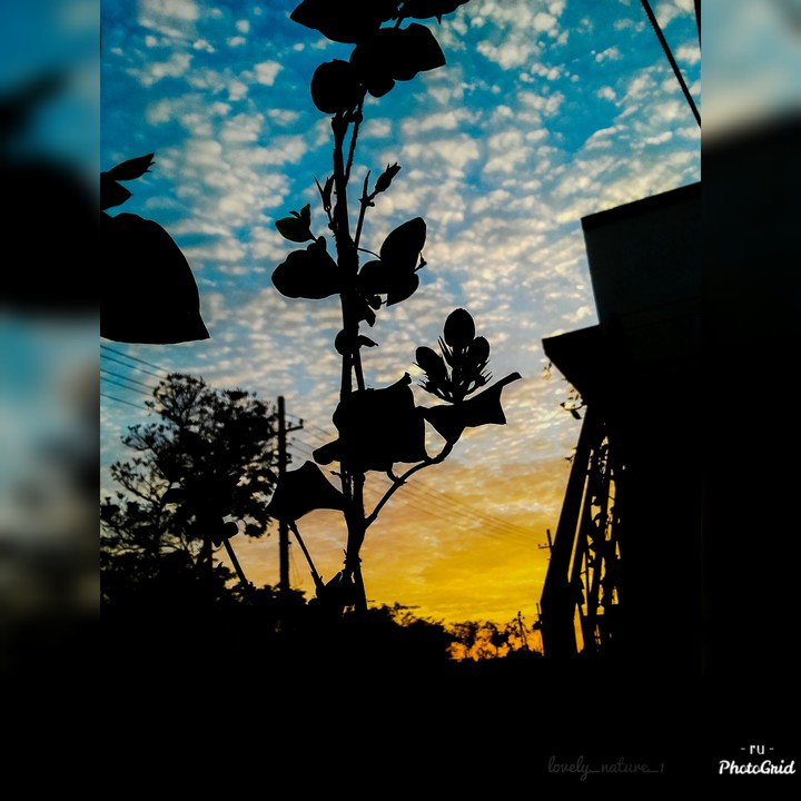 blue sky