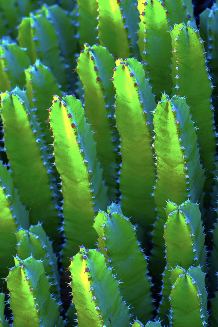 ⠀