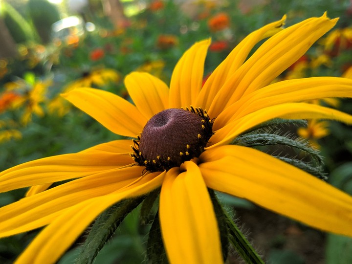 The sheer beauty of nature
