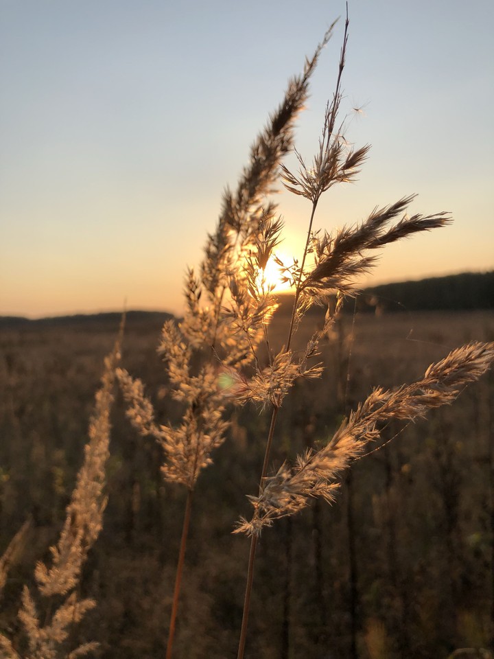 закат