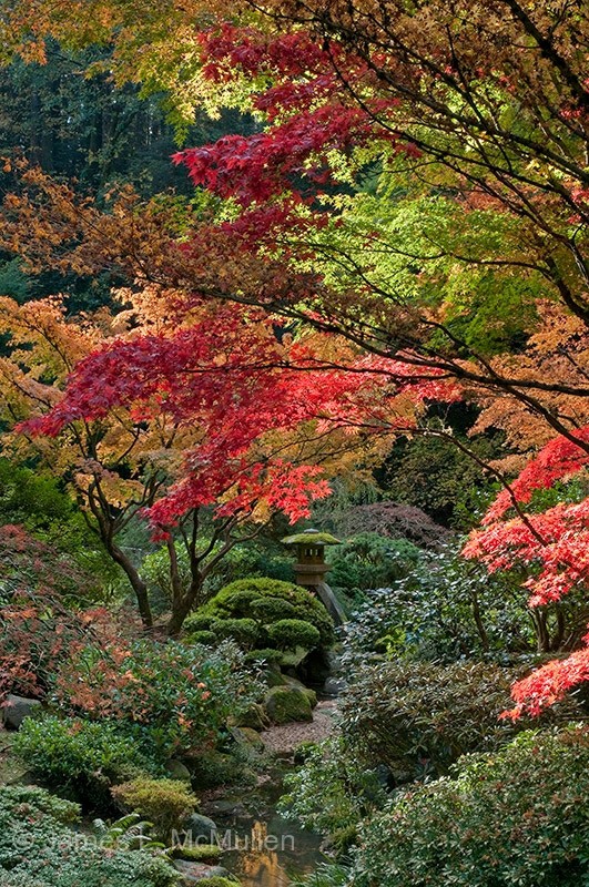 Autumn Garden 5