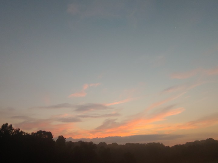 morning