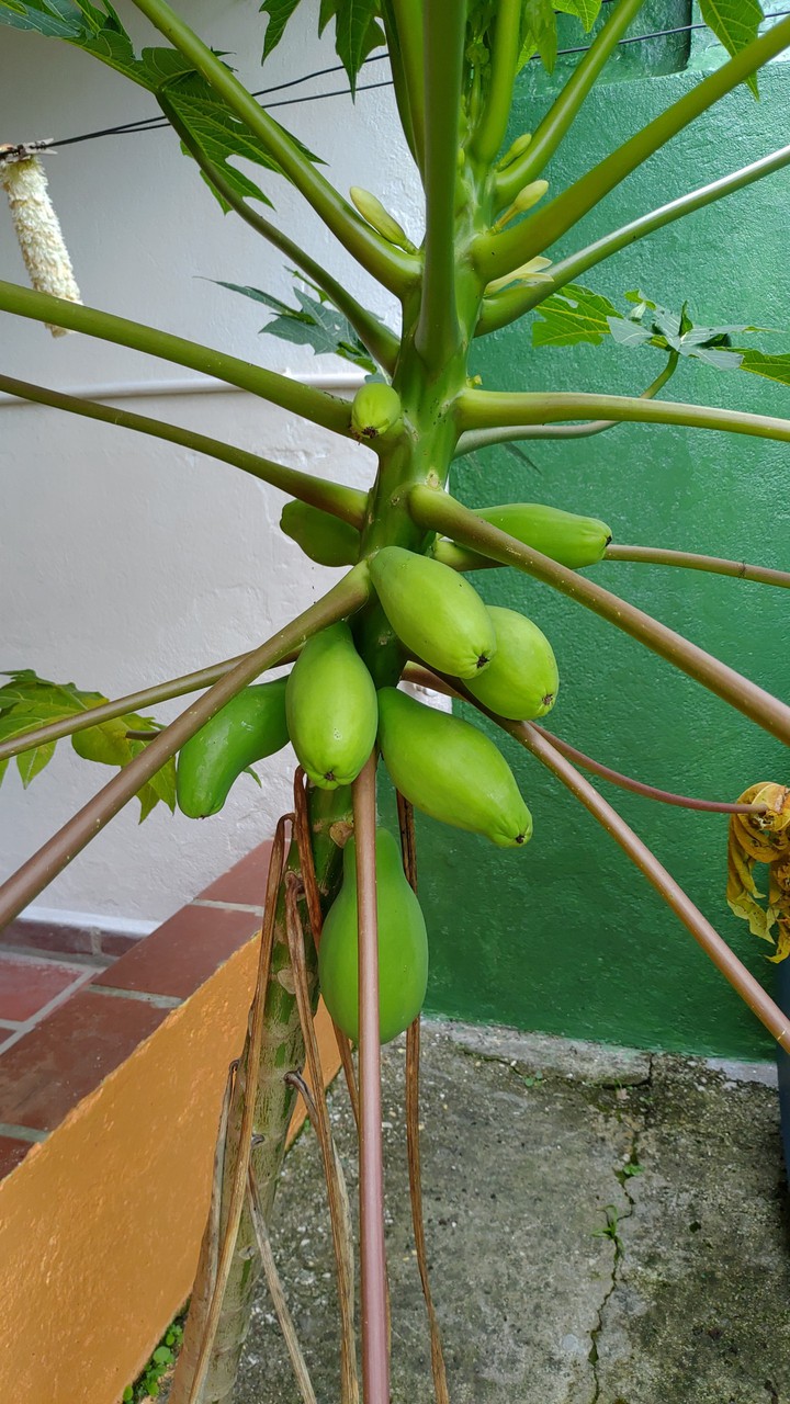 ??