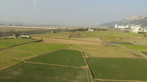 Greenery