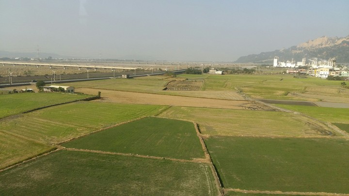 Greenery