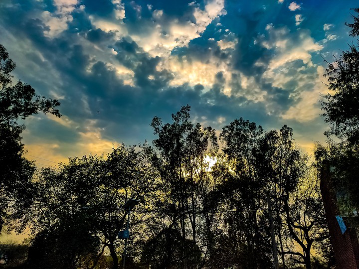 nature