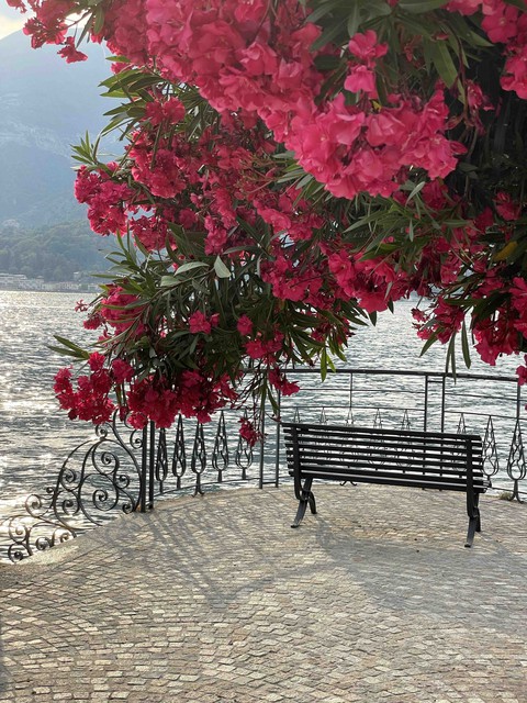 Bellagio