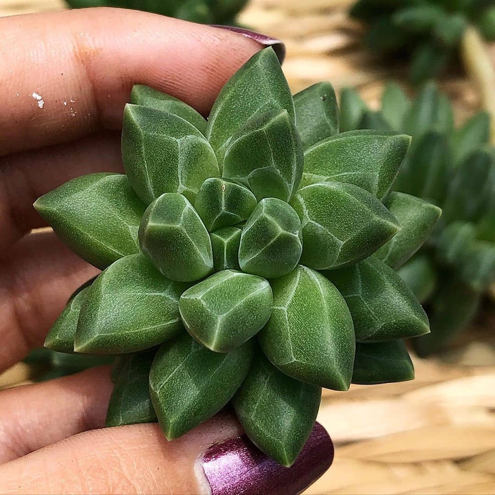 ❤