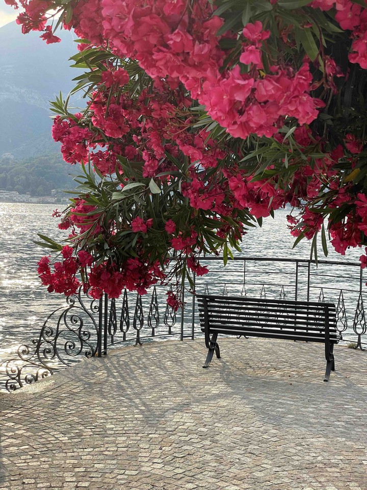Bellagio