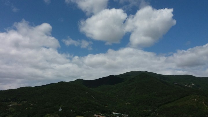 그림자