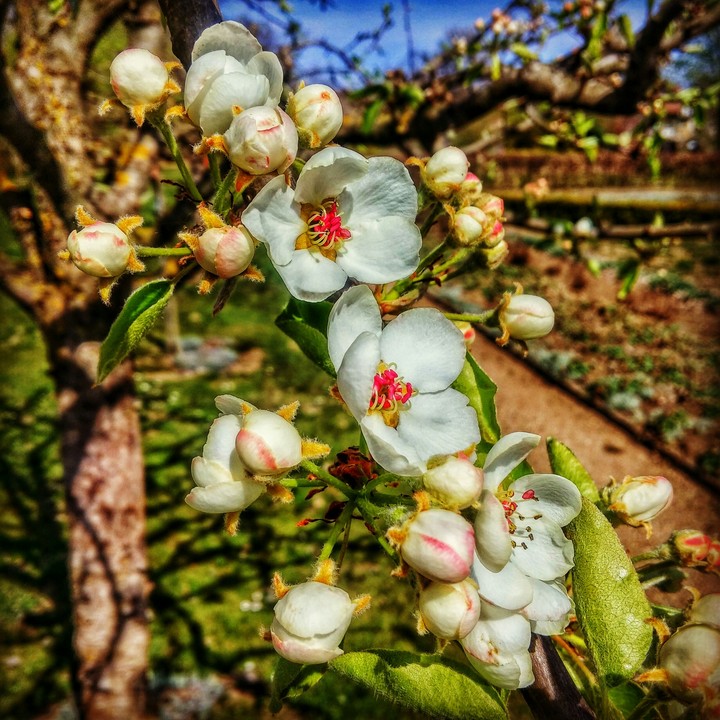 Frühling
