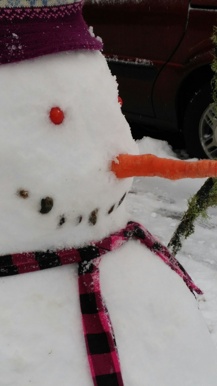 Snowman