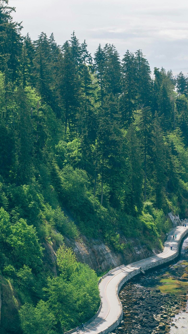 along the river