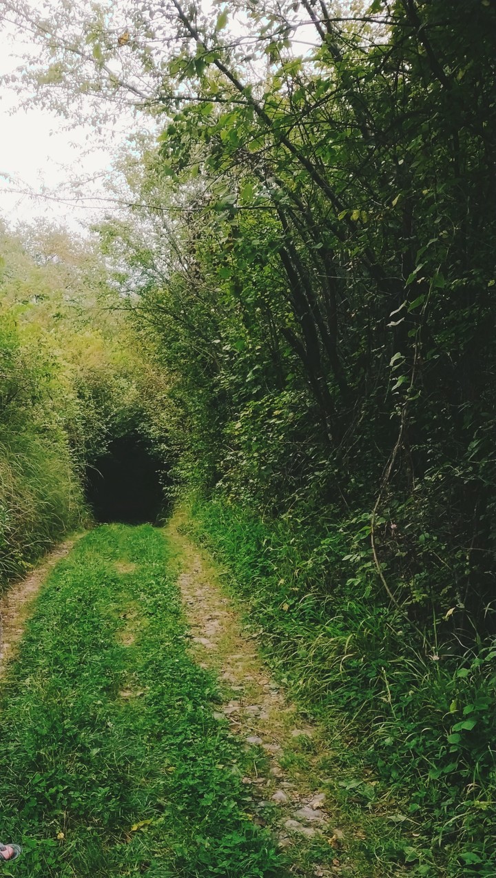 To Wonderland