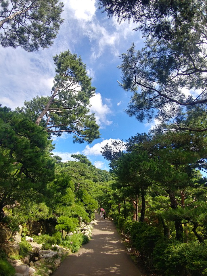 수목원 arboretum