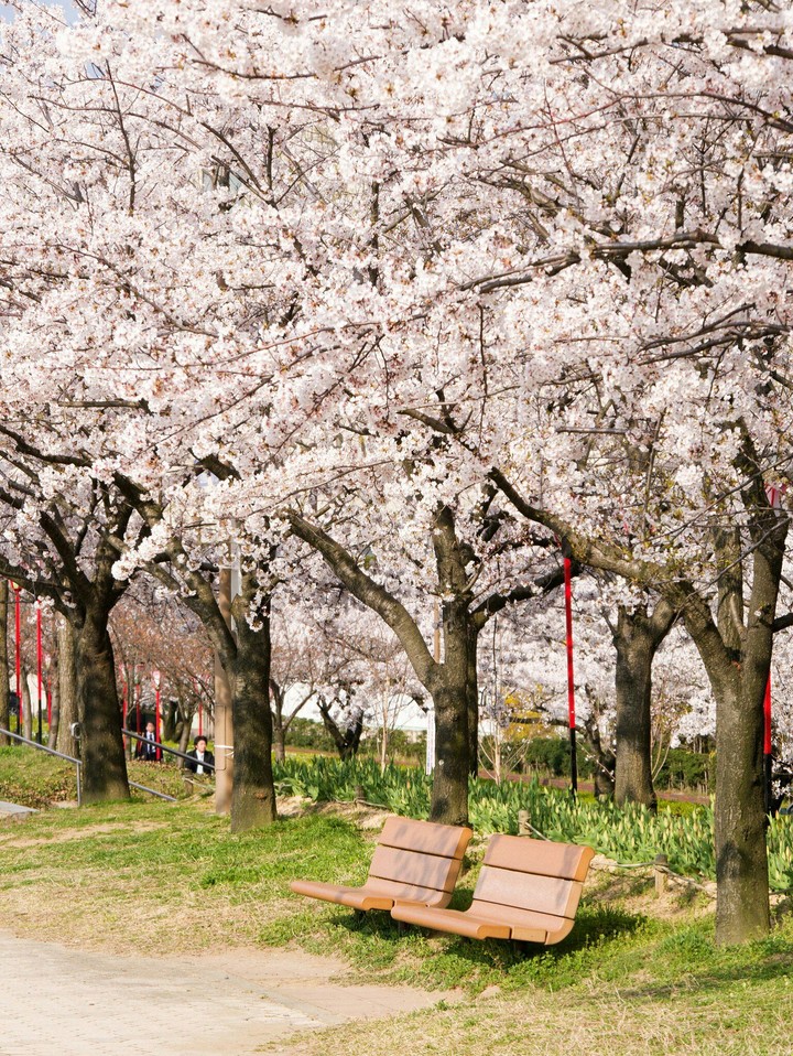 spring