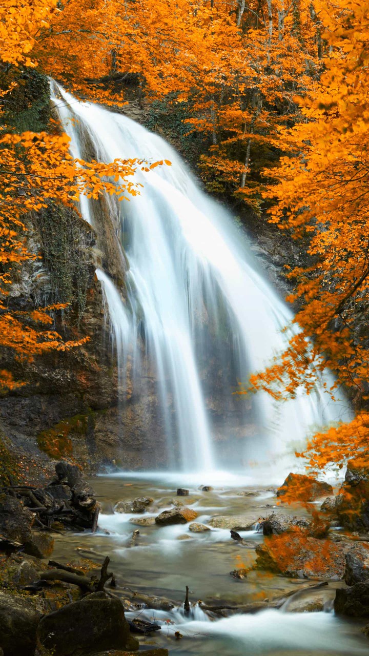 Orange Nature