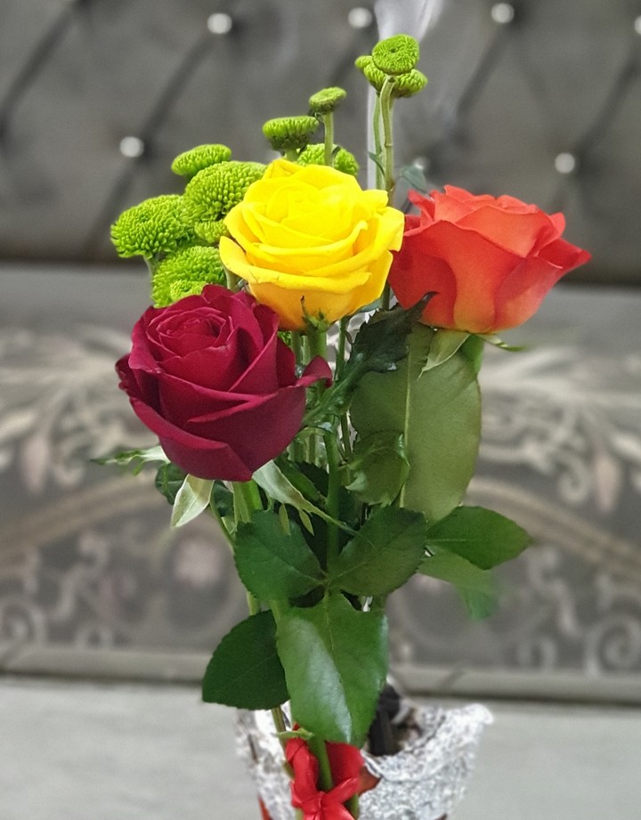 rose flowers