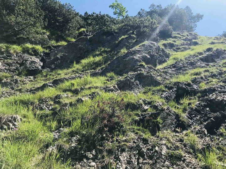 mountains
