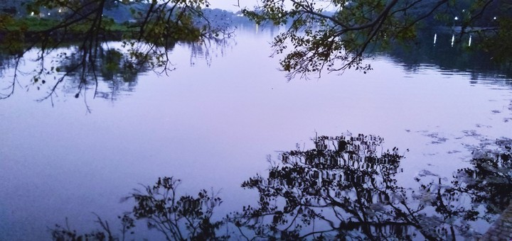 Reflection