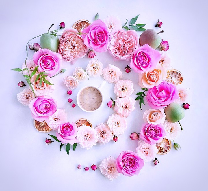 Have a nice day