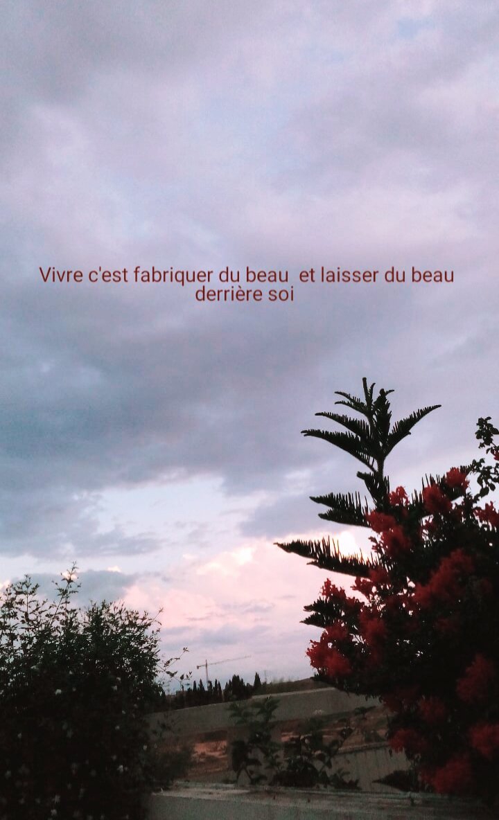 la vie