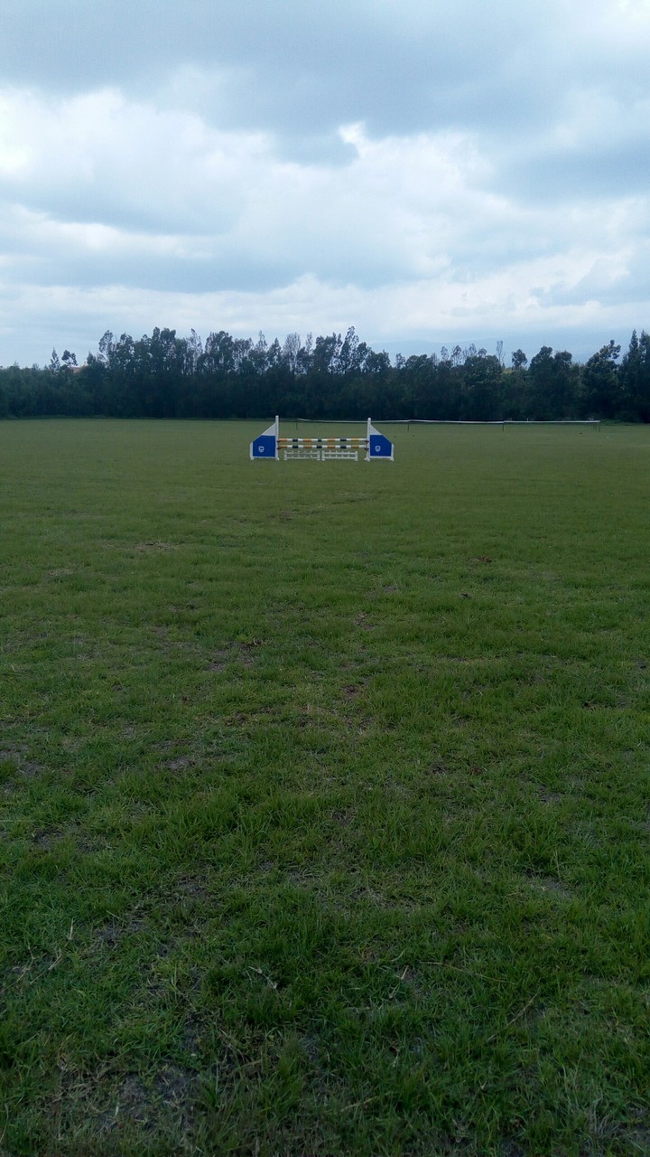 Horse day