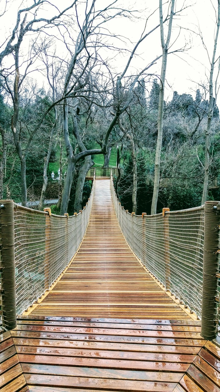 Nature Bridge