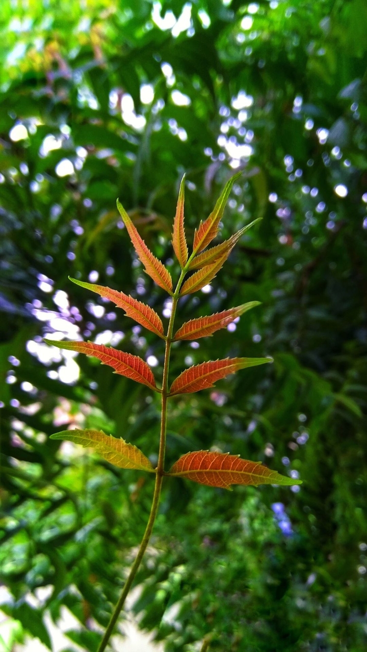 beauty of nature ?✨