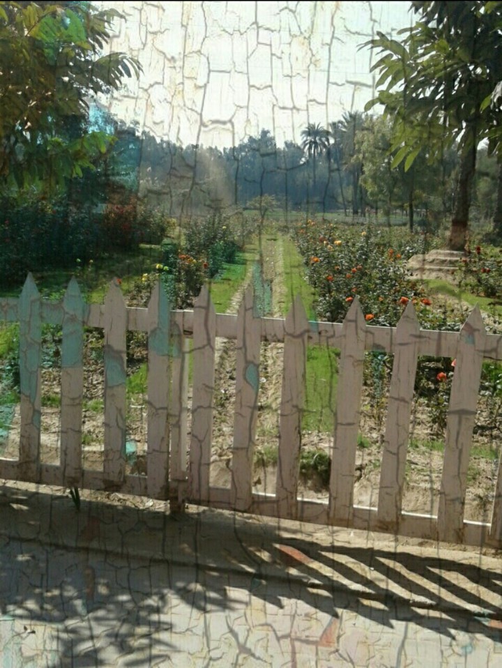 greenery