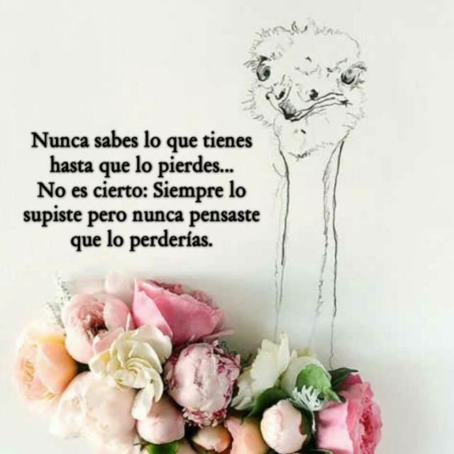 uno nunca sabe