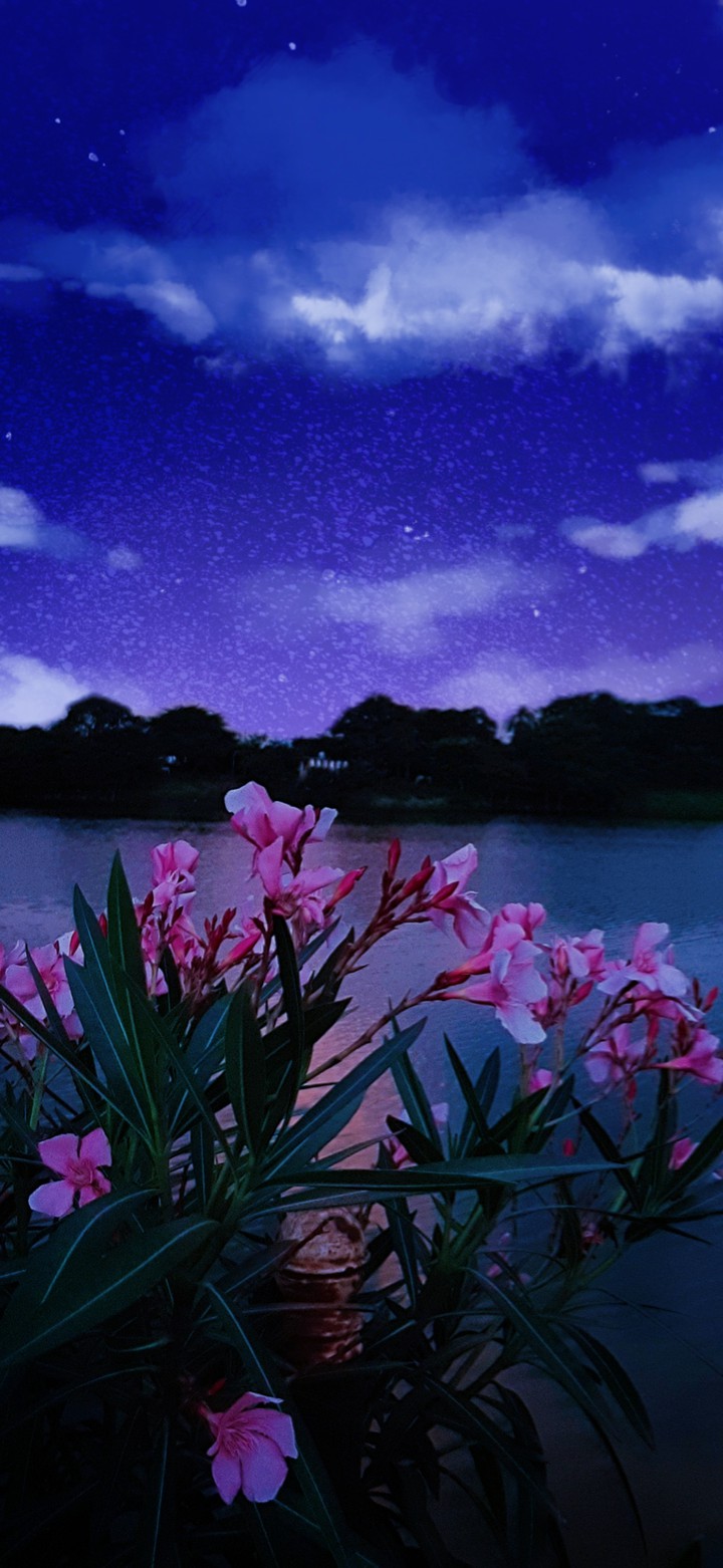 Night sky