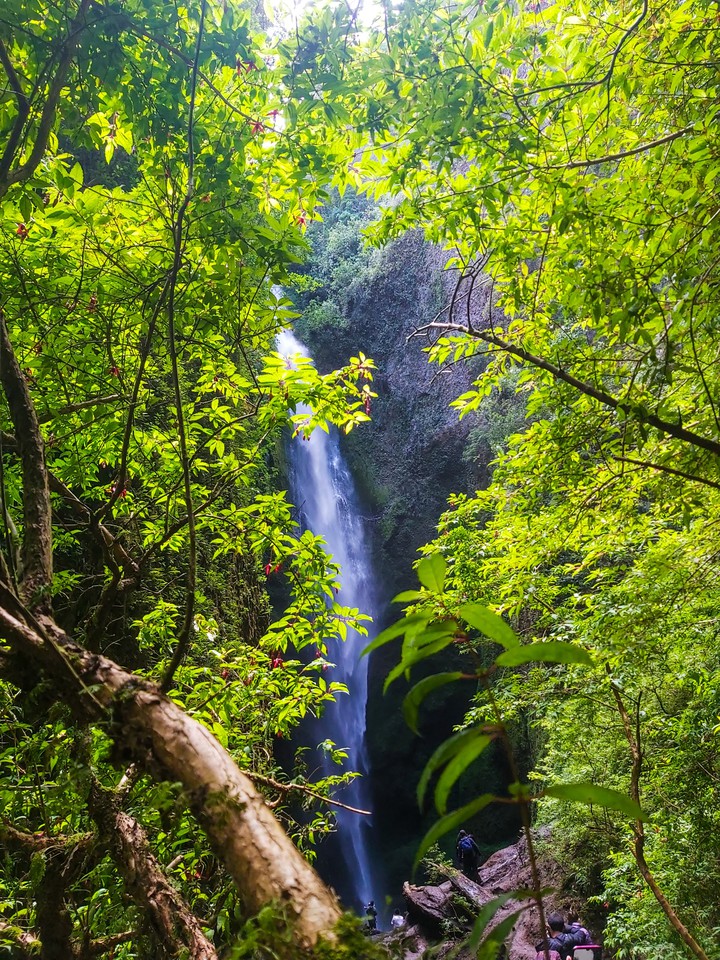 Cascada Mili Mili