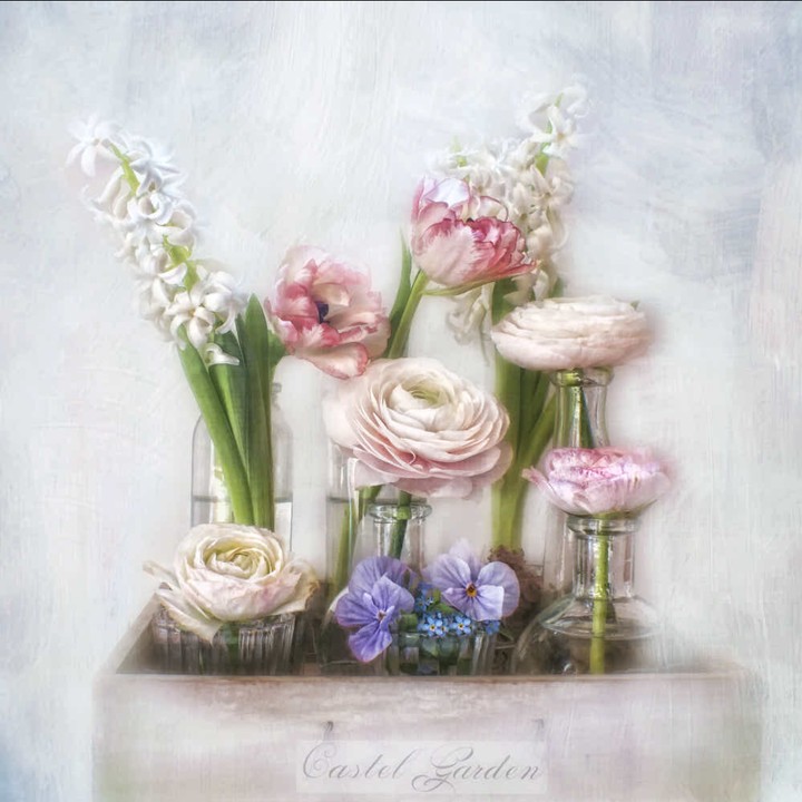 all about spring