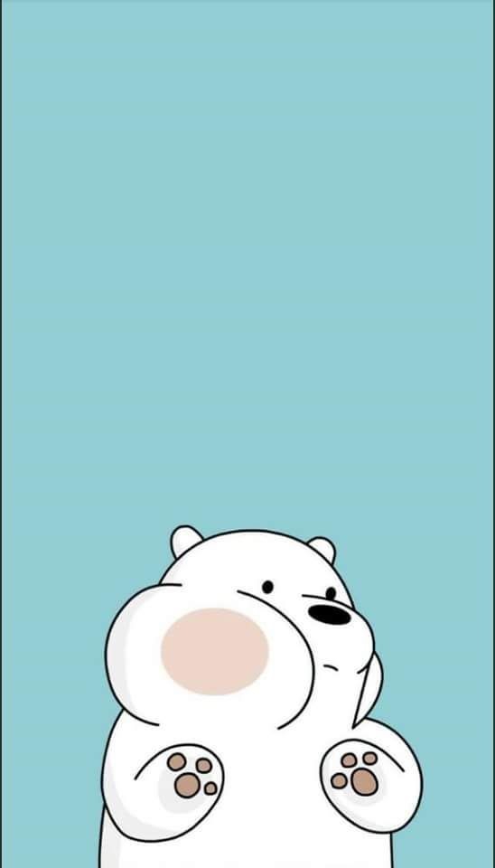 Polar bear