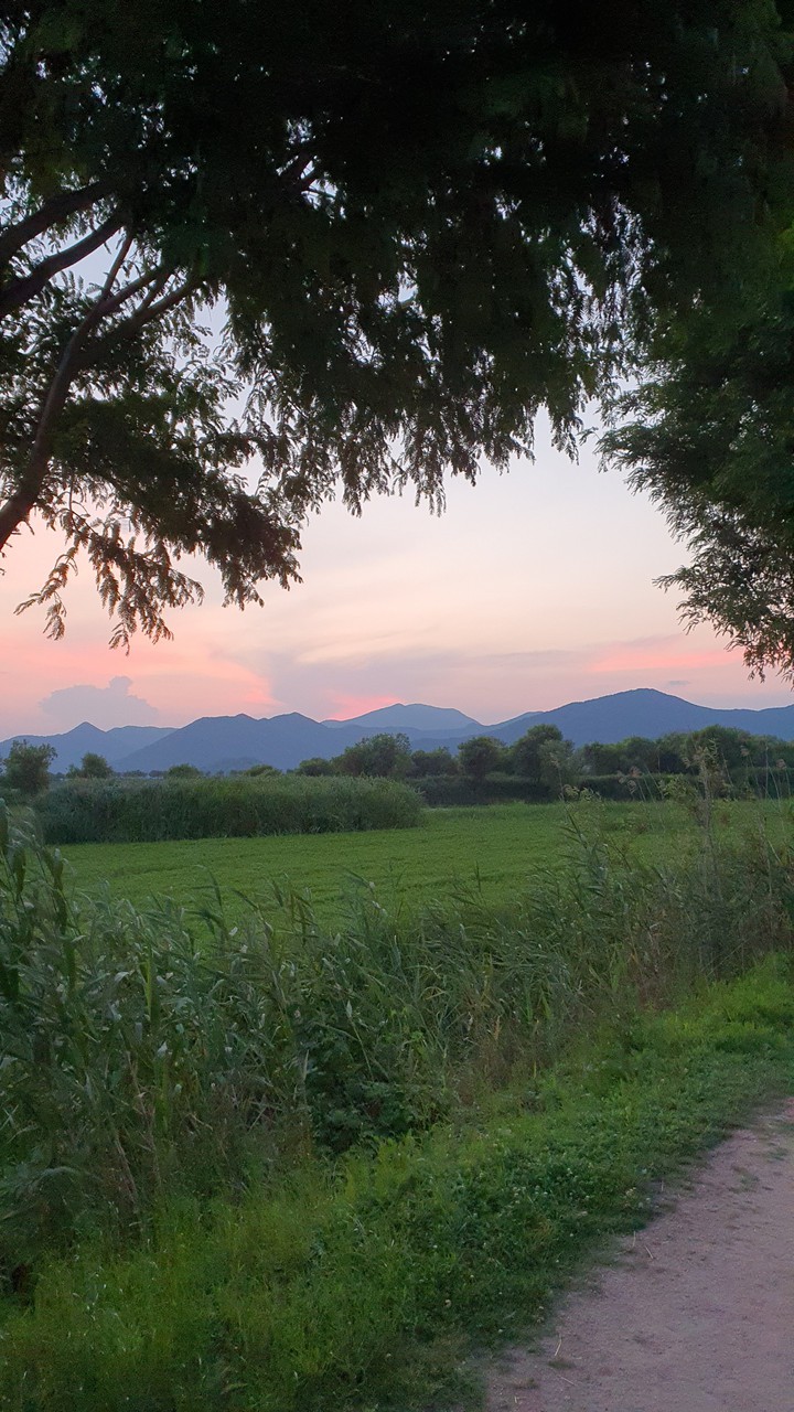 해질녁(sunset)