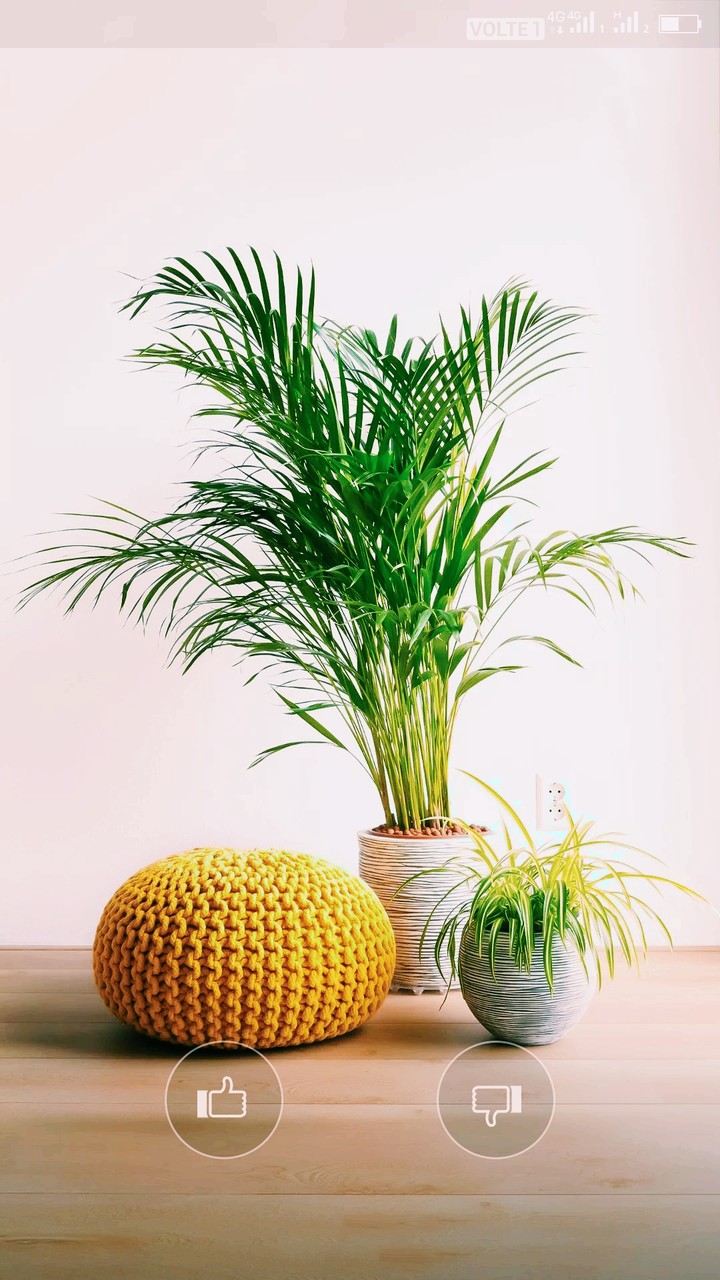 loving this in my home