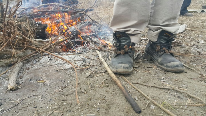 thistles on shoes :)