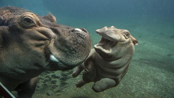 Mom and baby